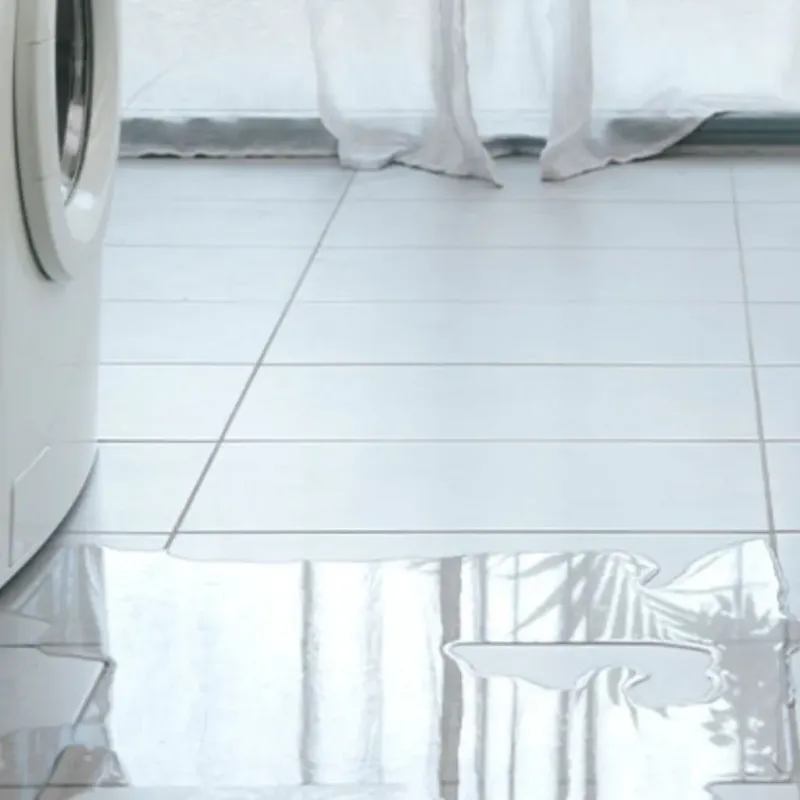 Appliance Leak Cleanup in Greer, SC
