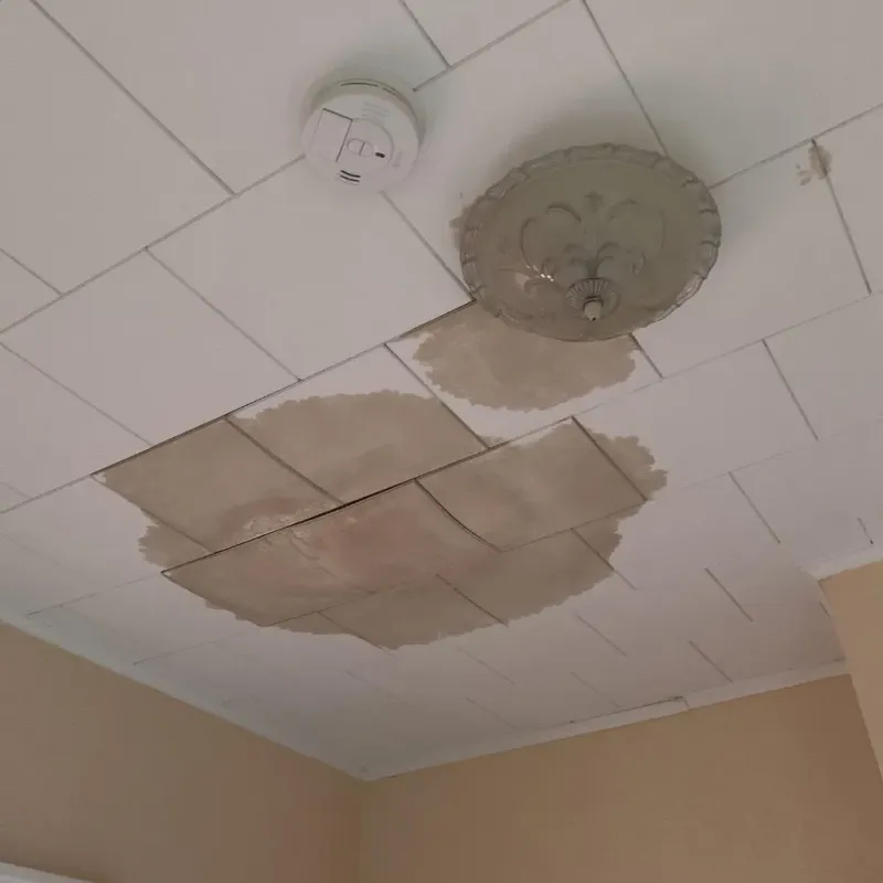 Ceiling Water Damage Repair in Greer, SC