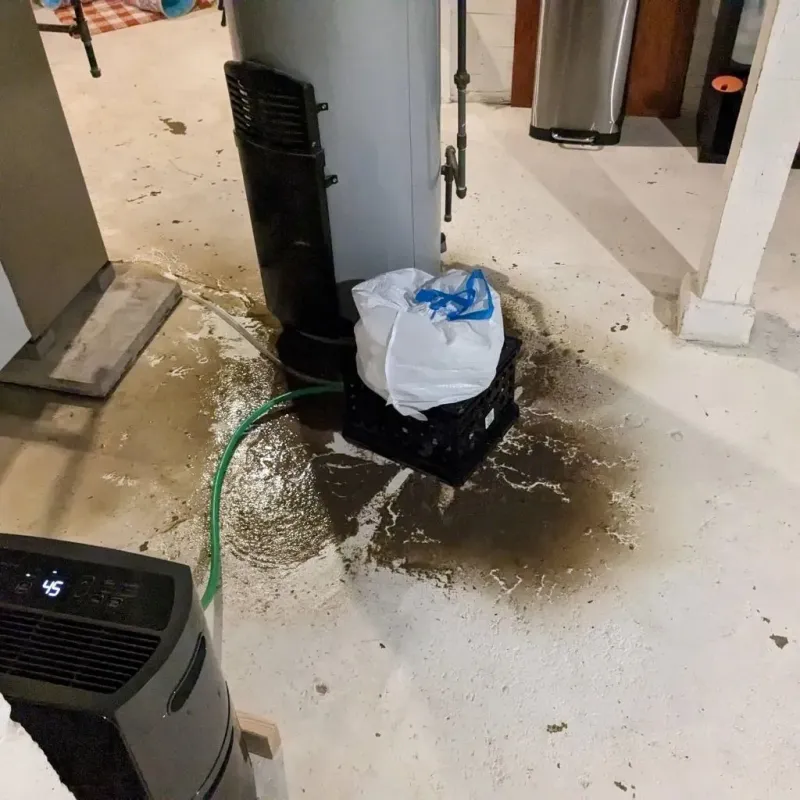 Sewage Backup Cleanup Service in Greer, SC